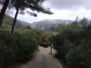 Descente à Monaco